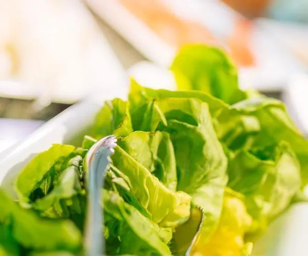 Dozamel קולובז'ג